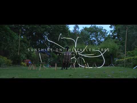 A person stands in a grassy garden surrounded by trees, with wooden benches and scattered objects. White abstract lines and the text SUNSHINE ON THE FALLEN TREE overlay the scene.