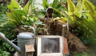 A whimsical garden scene features a miniature house made from a watering can, surrounded by lush green plants, with a small R.I.P. sign on a planter and another tiny house on a log in the background.